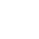 Corporate Icon