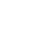 Wedding Icon